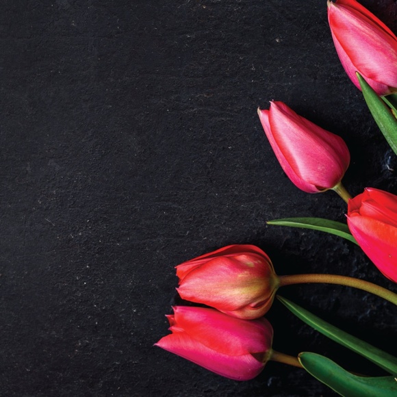 Sheree - Picture 1 of 1